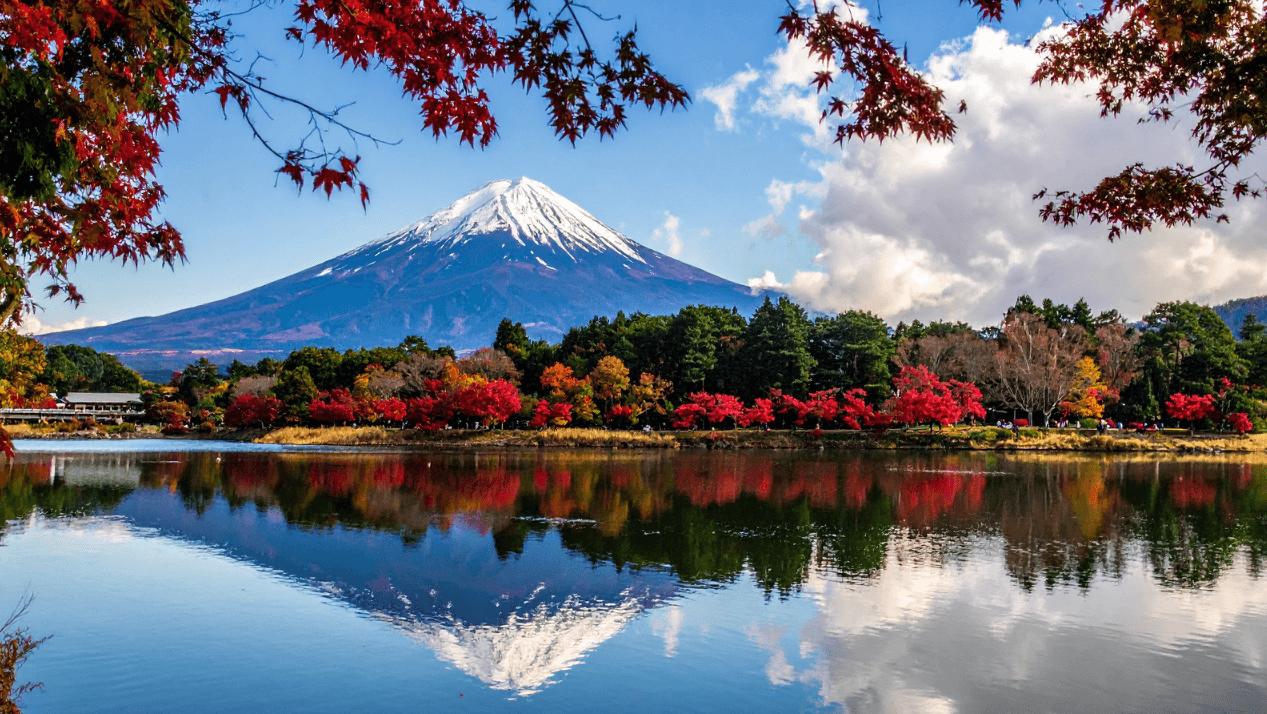 Recorriendo Japón