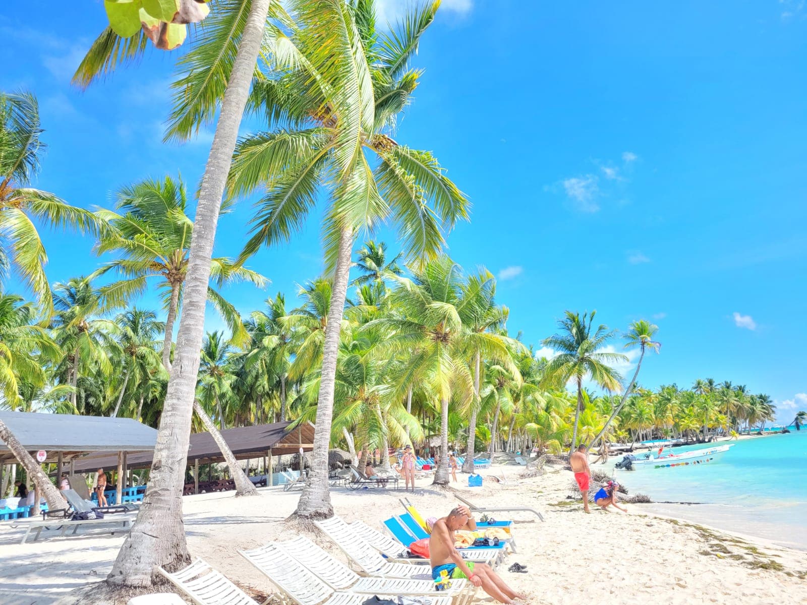Punta Cana Mediodia